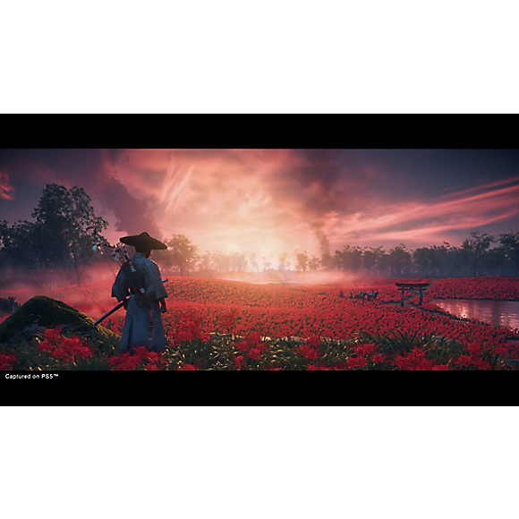 Ghost of Tsushima™ Director's Cut - PS5