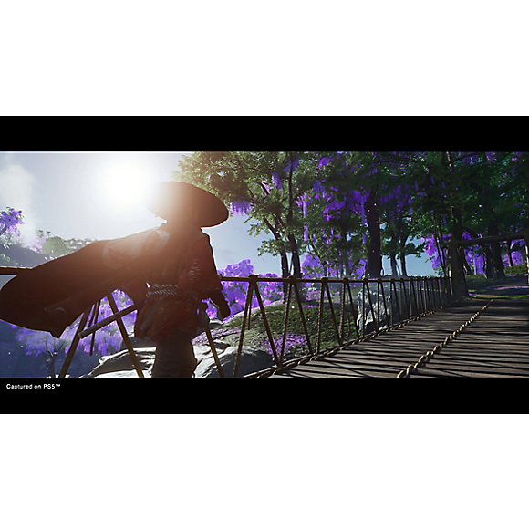 Ghost of Tsushima™ Director's Cut - PS5