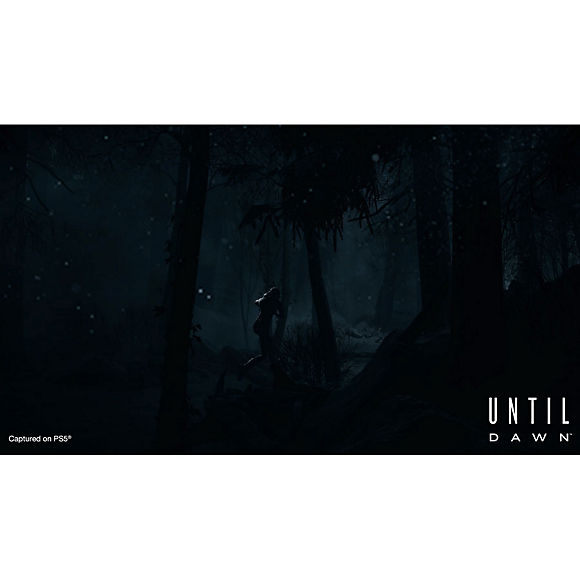 Until Dawn™ – PS5